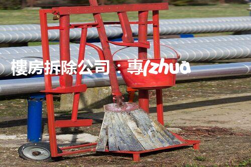樓房拆除公司：專(zhuān)業(yè)高效，安全拆除專(zhuān)家